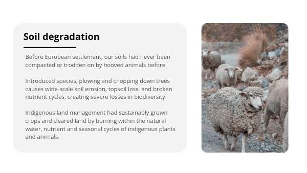 Settlers on Country Education Presentation — slide 8