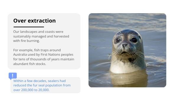 Settlers on Country Education Presentation — slide 10