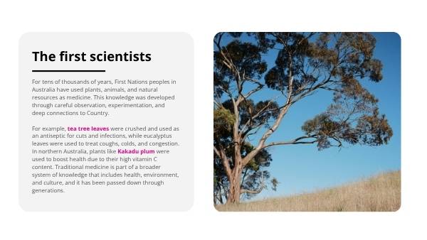 Traditional Medicine Education Presentation — slide 4