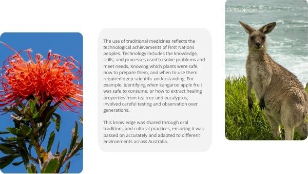 Traditional Medicine Education Presentation — slide 6