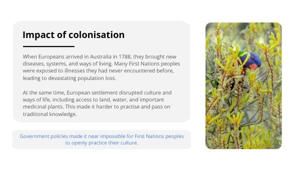 Traditional Medicine Education Presentation — slide 7
