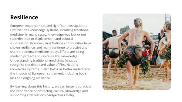 Traditional Medicine Education Presentation — slide 9