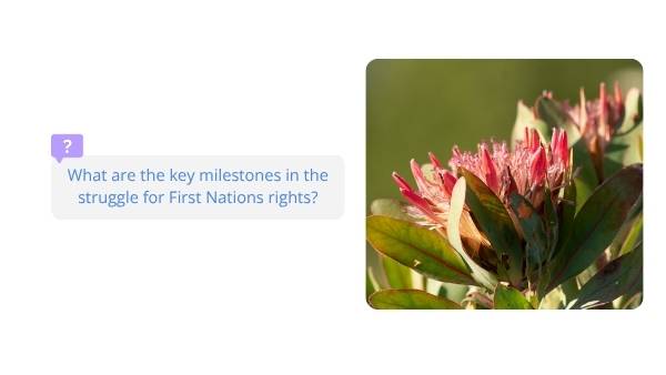 Historical First Nations Milestones In Australia Education Presentation — slide 11