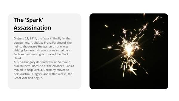 Causes of the First World War — slide 9