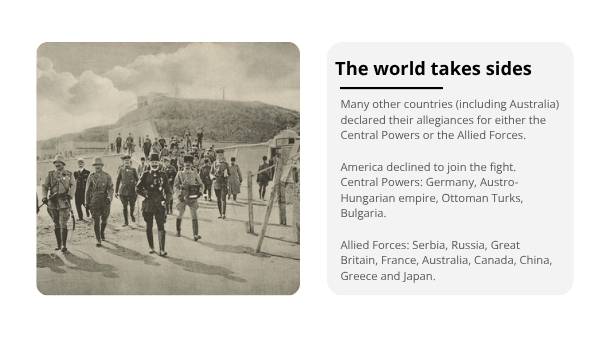 The Origins of the Great War Education Presentation — slide 11
