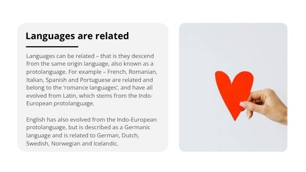 Language and Identity Education Presentation — slide 10