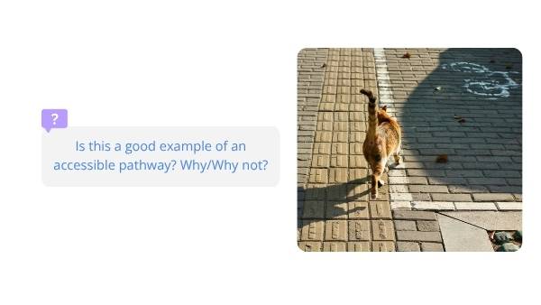 Evaluating AccessibilityEducation Presentation — slide 3