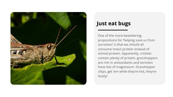 Food of the Future Education Presentation — slide 8