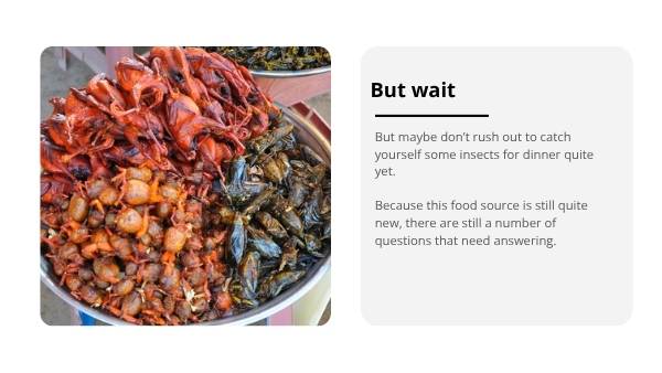 Food of the Future Education Presentation — slide 9