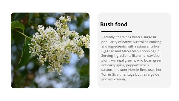 Healthy and Sustainable Food: The Native Pantry Education Presentation — slide 8