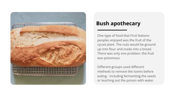 Healthy and Sustainable Food: The Native Pantry Education Presentation — slide 10