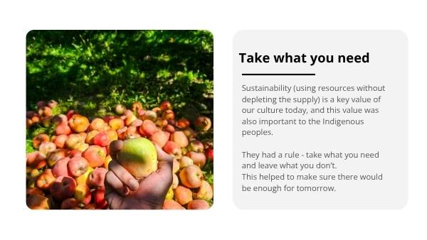 Healthy and Sustainable Food: The Native Pantry Education Presentation — slide 11