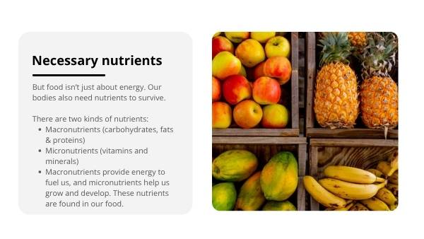 Food: Fuel, Feast & Flourish Education Presentation — slide 8