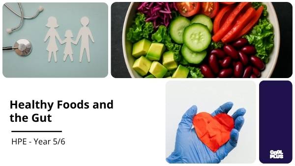 Healthy Foods and the Gut Education Presentation — slide 1