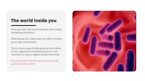 Healthy Foods and the Gut Education Presentation — slide 8