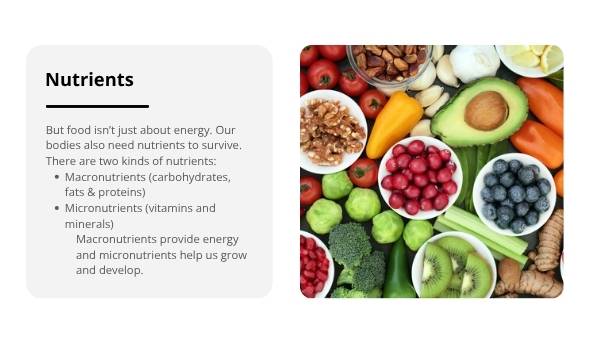 Living Healthy Education Presentation — slide 7