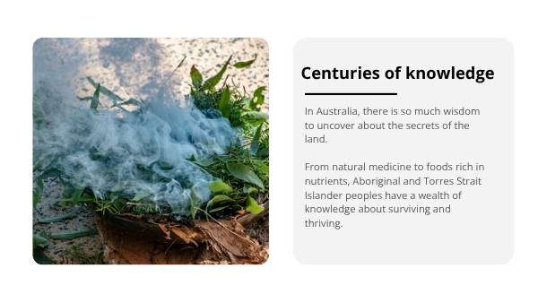 The Bush Apothecary Education Presentation — slide 5