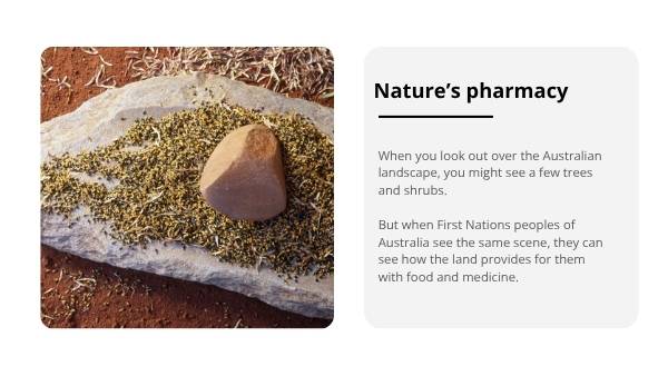 The Bush Apothecary Education Presentation — slide 6