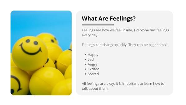 Exploring Feelings & Choices Education Presentation — slide 4