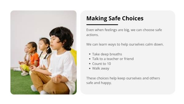 Exploring Feelings & Choices Education Presentation — slide 6