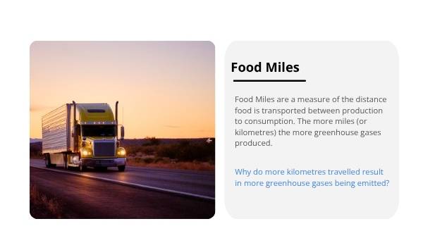 Ethical Food Choices Education Presentation — slide 5