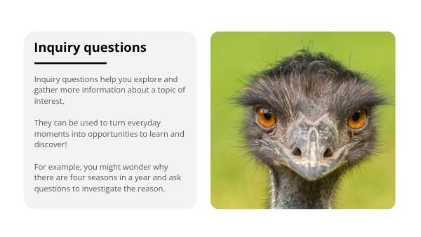 How to Ask Great Questions Education Presentation — slide 8