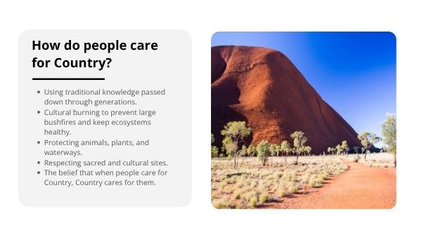 Connection to Country Education Presentation — slide 6