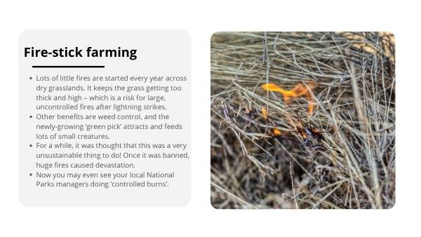 Connection to Country Education Presentation — slide 10