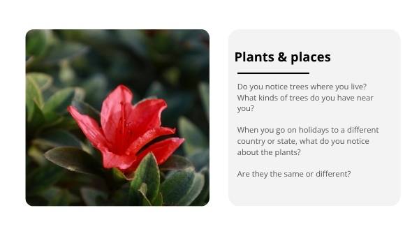 Joseph Banks and Botany Bay Education Presentation — slide 4