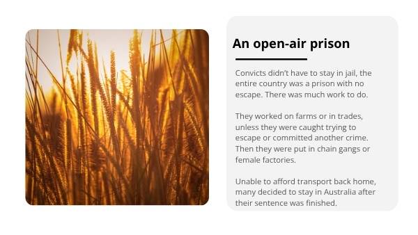 Experiences of People on the First Fleet Education presentation — slide 12