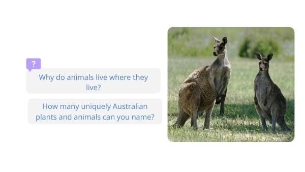 Australia’s Unique Plants and Vegetation Education Presentation — slide 5