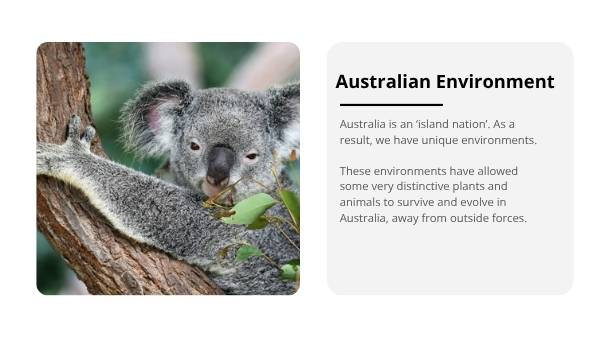 Australia’s Unique Plants and Vegetation Education Presentation — slide 7