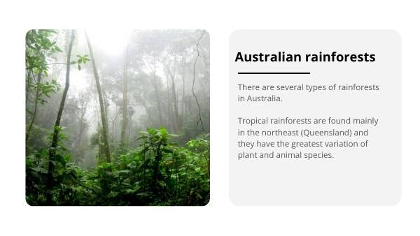 Australia’s Unique Plants and Vegetation Education Presentation — slide 10