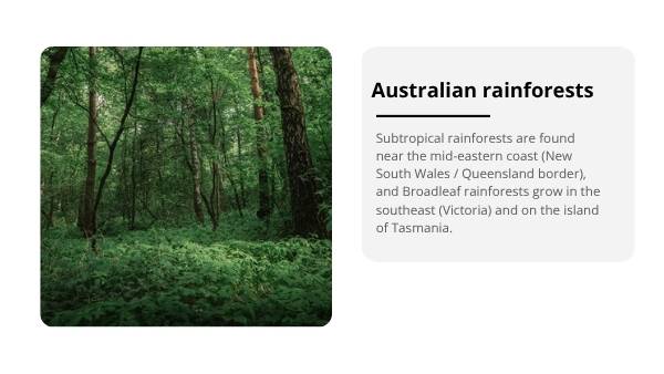 Australia’s Unique Plants and Vegetation Education Presentation — slide 11