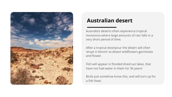 Australia’s Unique Plants and Vegetation Education Presentation — slide 12