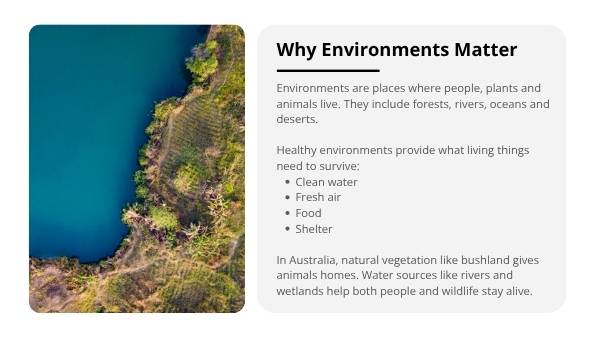 Caring for Environments Education Presentation — slide 4
