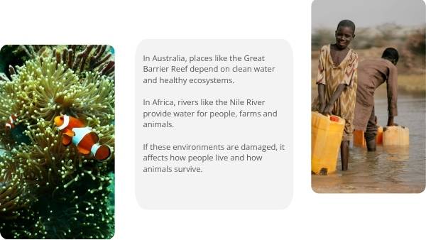 Caring for Environments Education Presentation — slide 6