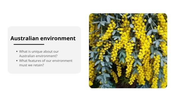 Connections to Our Environment Education Presentation — slide 4