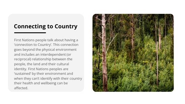 Connections to Our Environment Education Presentation — slide 7