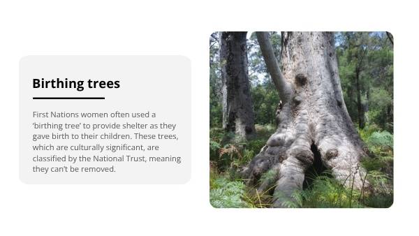 Connections to Our Environment Education Presentation — slide 12