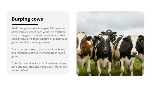 Greenhouse Gas Emissions and Food Production Education Presentation — slide 8