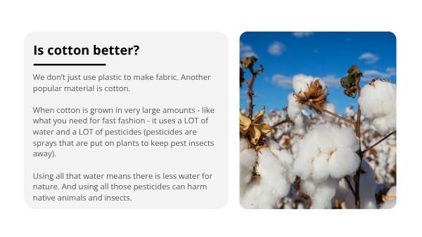 The Impacts of Fast Fashion Education Presentation — slide 11