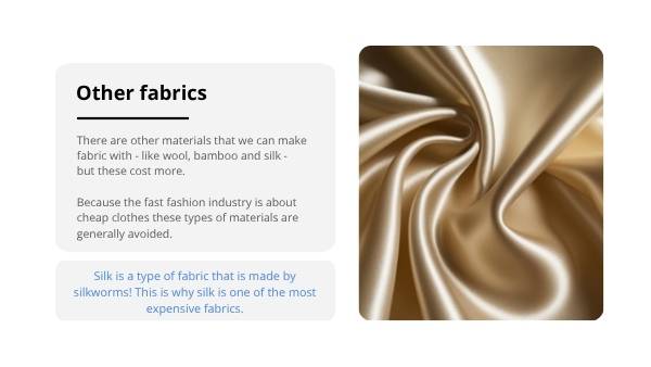 The Impacts of Fast Fashion Education Presentation — slide 12