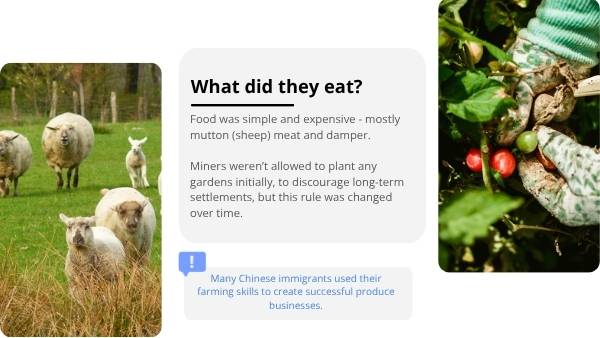 Australia's Gold Rush History Education Presentation — slide 10