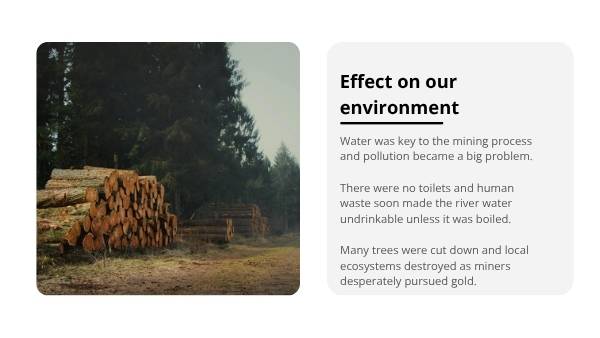 Australia's Gold Rush History Education Presentation — slide 12
