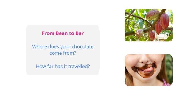 Bean to Bar: Ethical Supply Chains Education Presentation — slide 3