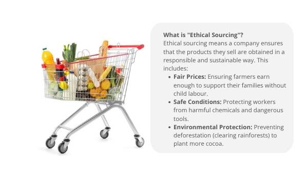 Bean to Bar: Ethical Supply Chains Education Presentation — slide 4