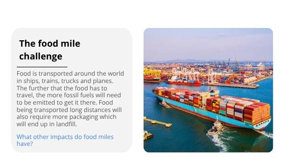 Bean to Bar: Ethical Supply Chains Education Presentation — slide 8