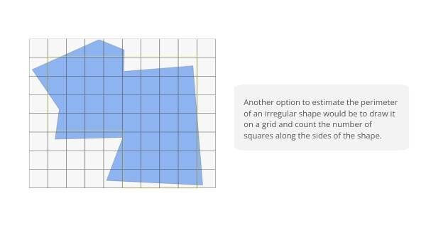Deforestation and the Ozone Layer Education Presentation — slide 8