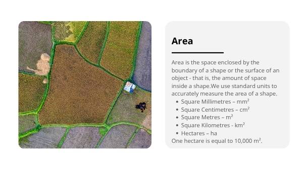 Deforestation and the Ozone Layer Education Presentation — slide 9